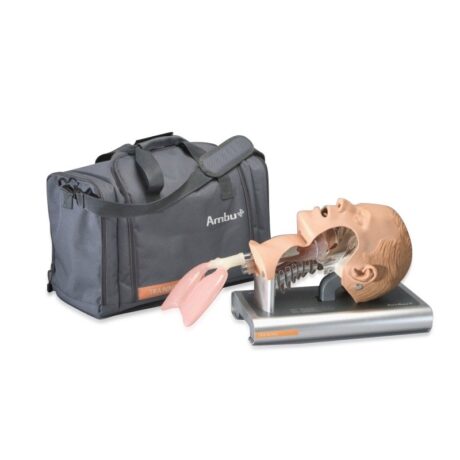 Model głowy do nauki intubacji Ambu Airway Management Trainer