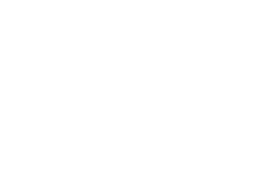 Angio Dynamics